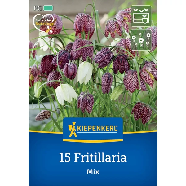 Kiepenkerl Fritillaria meleagris Mix vegyes kockásliliom virághagymák 15db