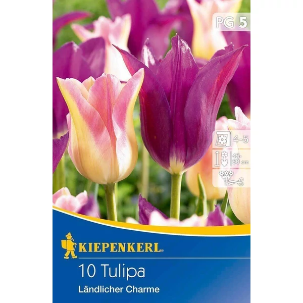 Kiepenkerl Landlicher Charme liliomvirágú tulipánhagymák 10db