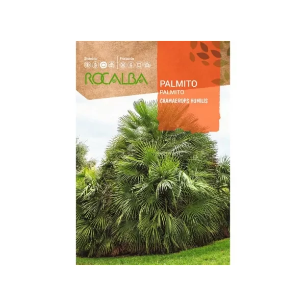 Rocalba Törpe lószőrpálma 5 db