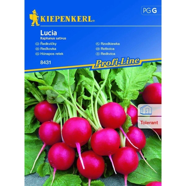 Kiepenkerl Lucia hónapos retek vetőmag 