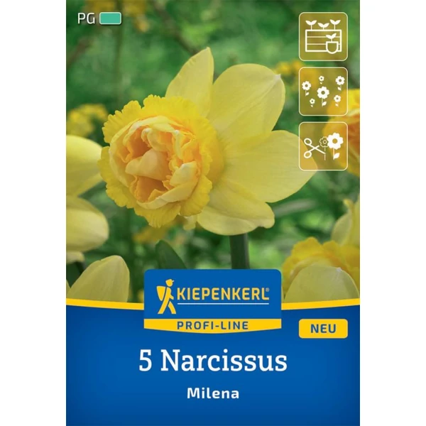 Kiepenkerl Nárcisz Milena virághagymák 5db