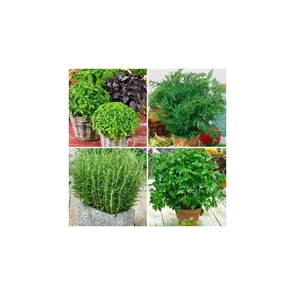 Fűszernövény Mix CS9