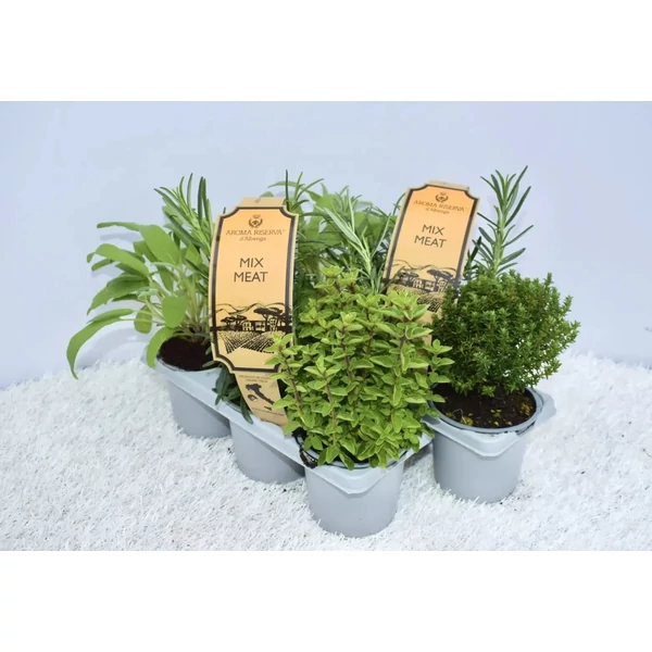 Fűszernövény mix Aroma Riserva MeatMix 3db/pakk D9