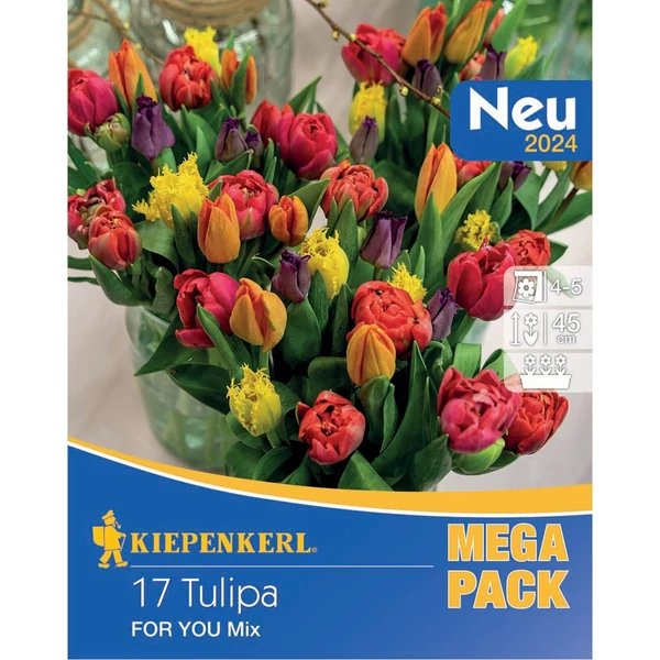 Kiepenkerl Mega-Pack Tulipán virághagyma For You Mix 17db