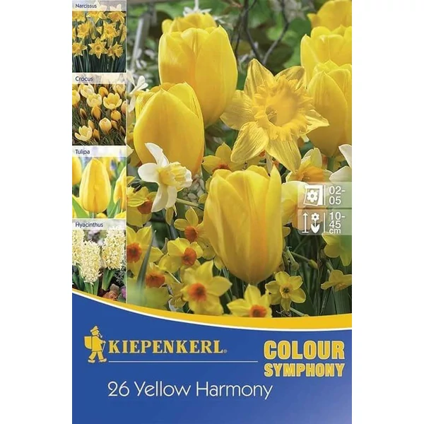 Kiepenkerl Colour Symphony Yellow Harmony virághagyma összeállítás 26db