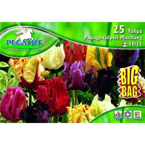 Pegasus vegyes papagájvirágú tulipán virághagymák BIG BAG 25db