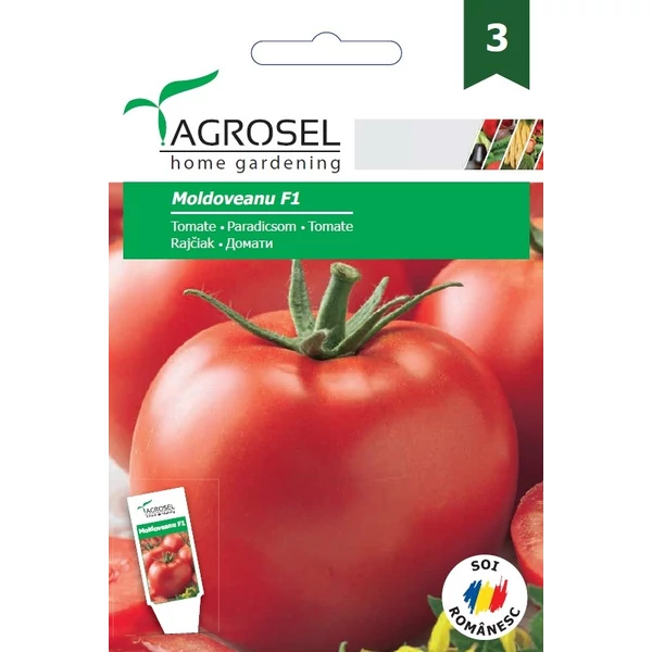 Agrosel Moldoveanu F1 paradicsom 10szem