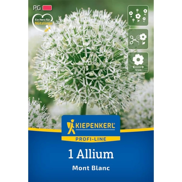 Kiepenkerl Allium Mont Blanc díszhagyma virághagymák 1db