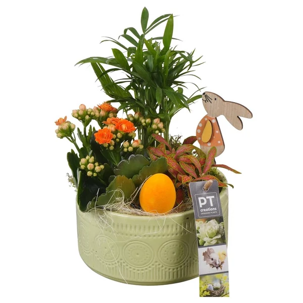 Húsvéti növénykompozíció kerámia tálban 23/25cm