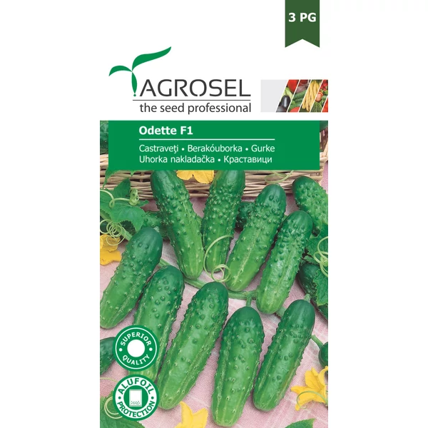 Agrosel uborka Odette F1 20szem 