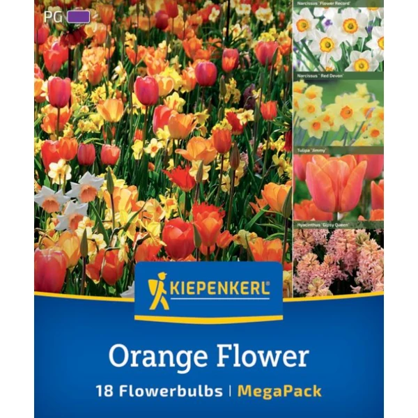 Kiepenkerl Orange Flower MEGA PACK 18db