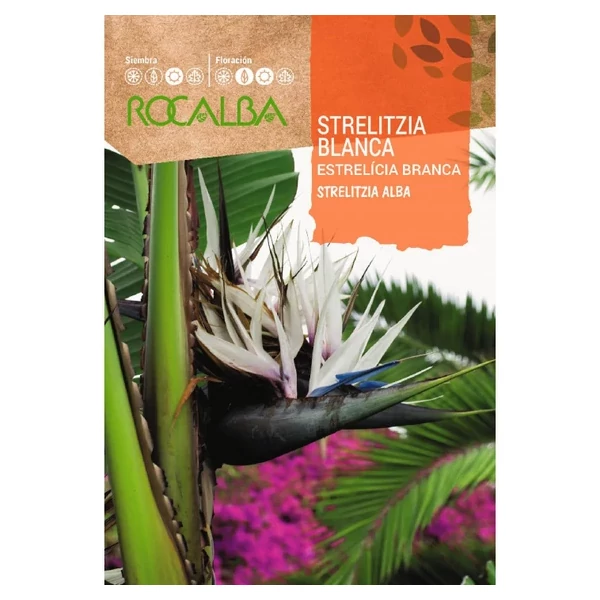 Rocalba papagájvirág fehér 3 mag