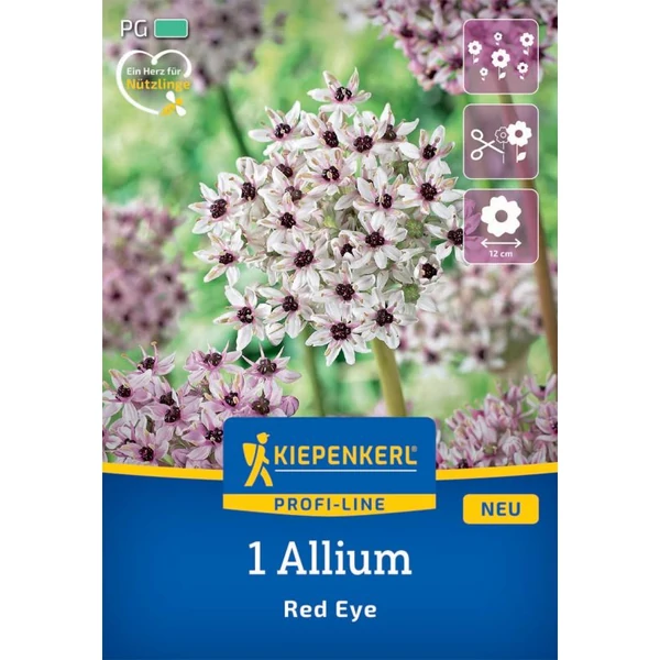 Kiepenkerl Allium Red Eye díszhagyma virághagymák 1db