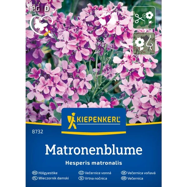 Kiepenkerl Matonenblume Hölgyestike