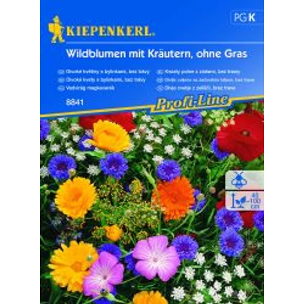 Kiepenkerl wildblumen Vadvirág magkeverék