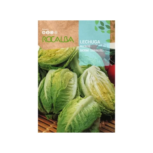 Rocalba Saláta Sucrine 3g