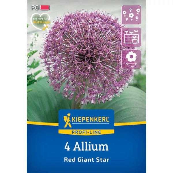 Kiepenkerl Allium Red Giant Star díszhagyma virághagymák 4db