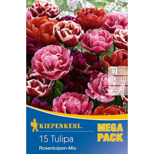 Kiepenkerl Rosentulpen-Mix vegyes teltvirágú tulipánhagymák MEGA PACK 15db