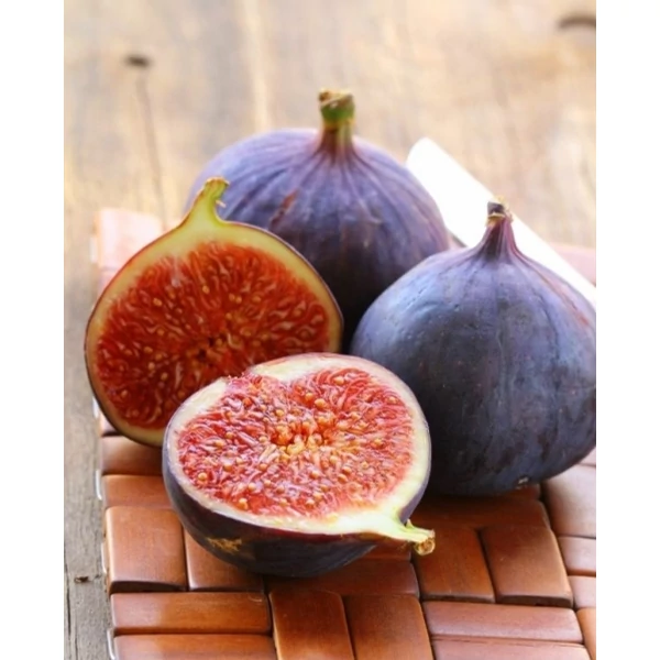 Ficus carica Turca - Füge 1/2 törzses K5
