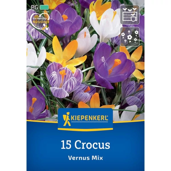 Kiepenkerl Crocus Vernus Mix vegyes nagyvirágú 15db