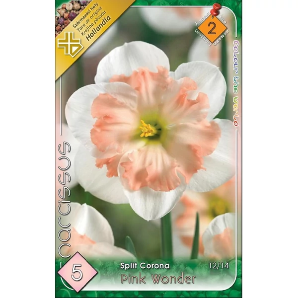 Nárcisz virághagyma 5db-os Pink Wonder