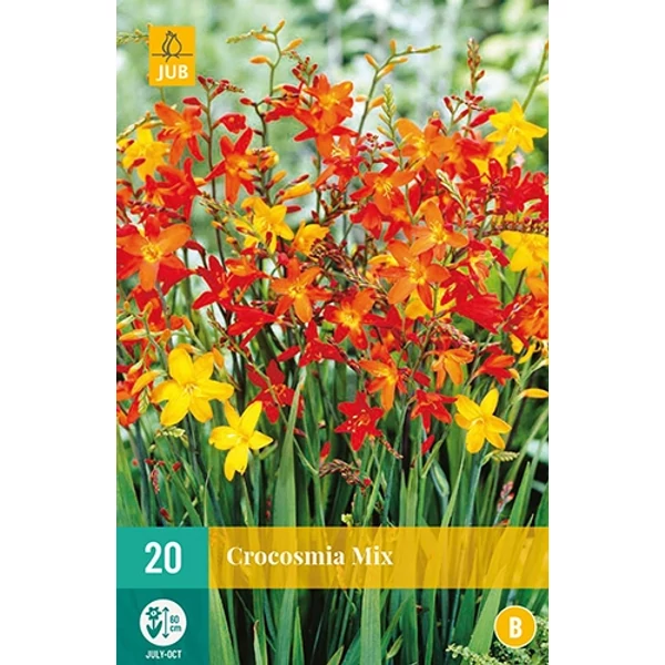 Jub Crocosmia Sáfrányfű mix 20 db