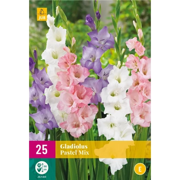 Jub Gladiolus pastel mix -  kardvirág pasztell mix 25 db