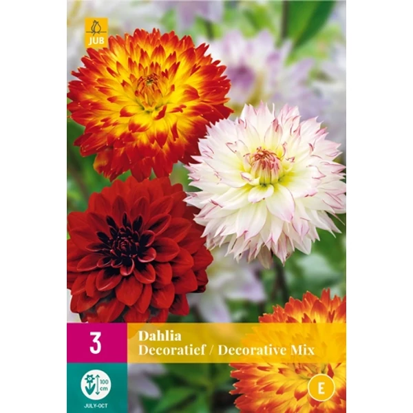 Jub Decoratief dália mix 3 db XXL pack