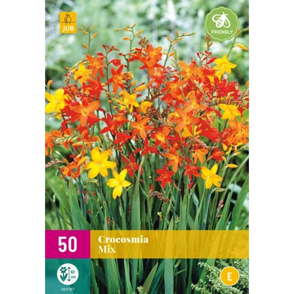 Jub crocosmia Sáfrányfű mix 50 db