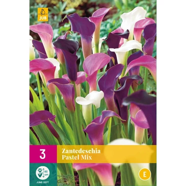 Jub Zantedeschia pastel Kála mix 3 db