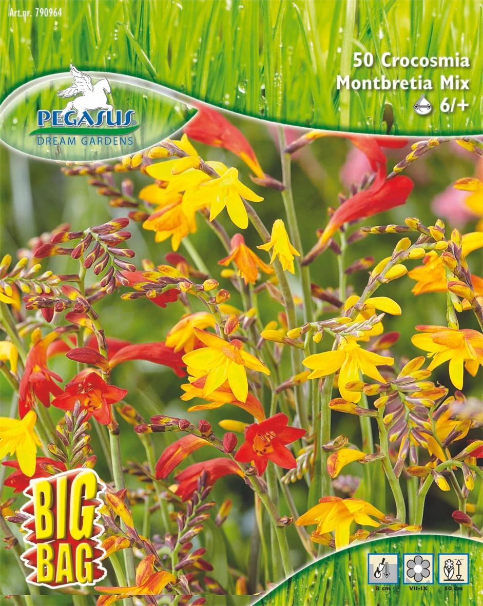 Pegasus Sáfrányfű Montbretia Mix 50db