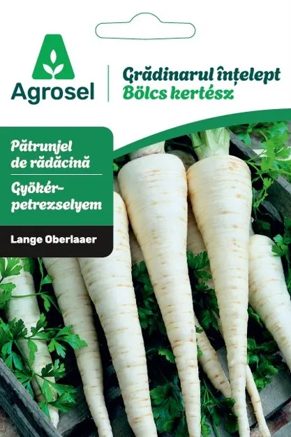 Agrosel Bölcs kertész Gyökérpetrezselyem hosszú 4,50 g