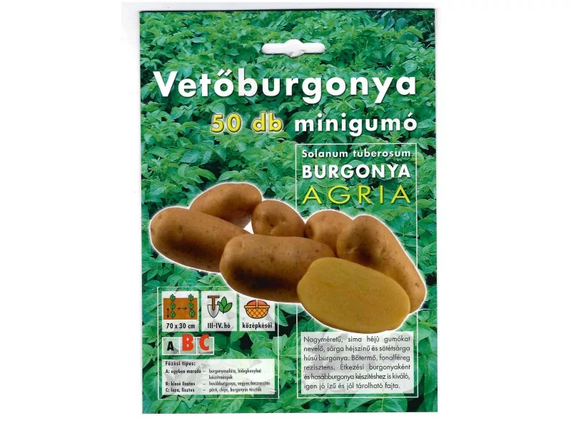 Vetőburgonya Manitou 50 szemes