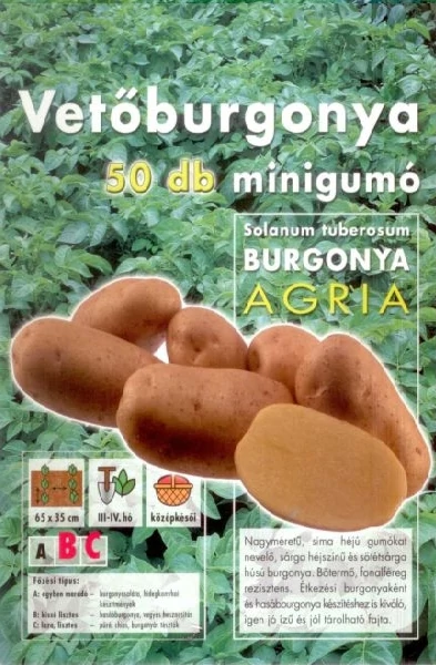 Vetőburgonya Agria Minigumó 50db/cs