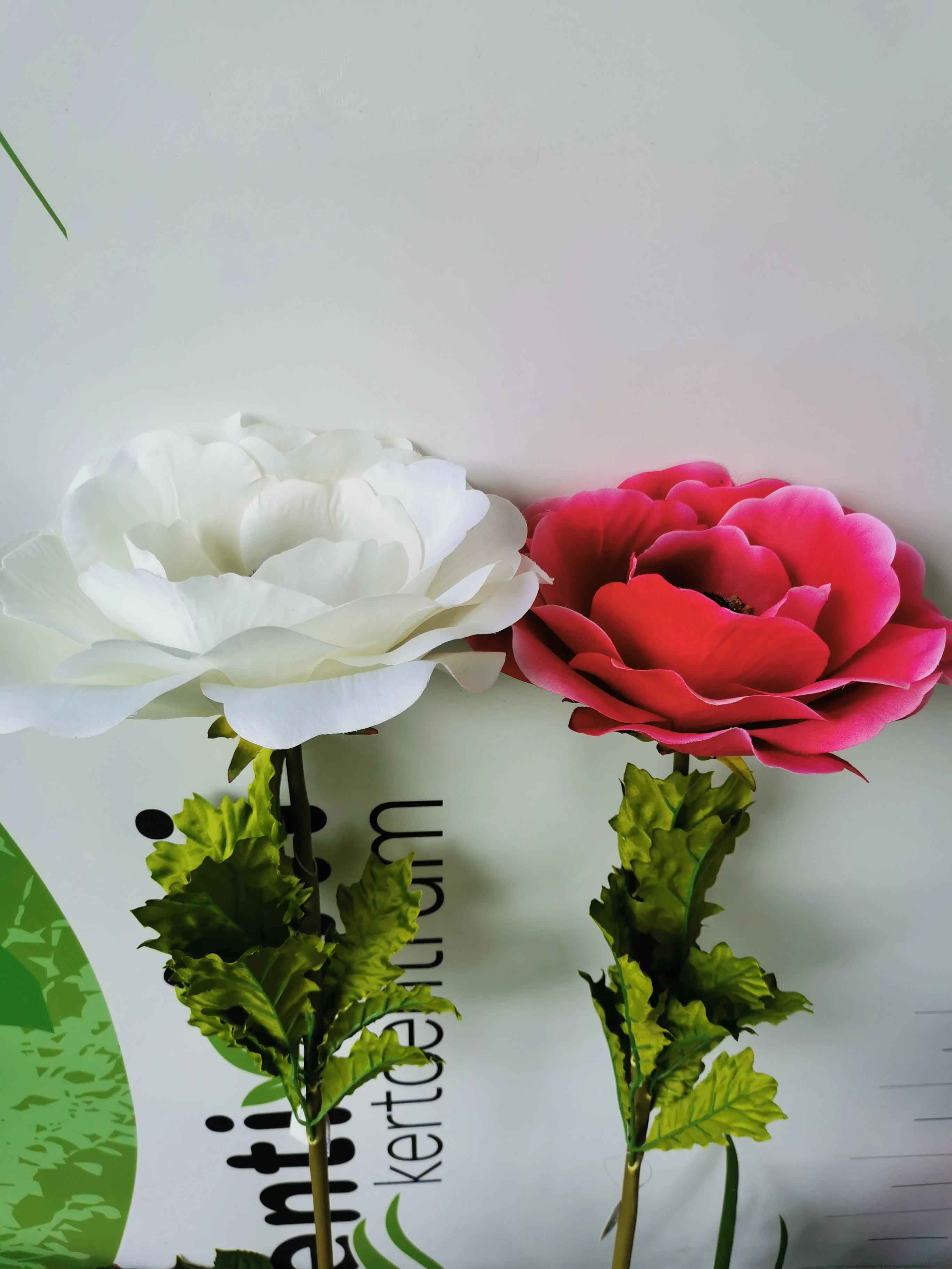 Selyemvirág óriás anemone 100x25cm