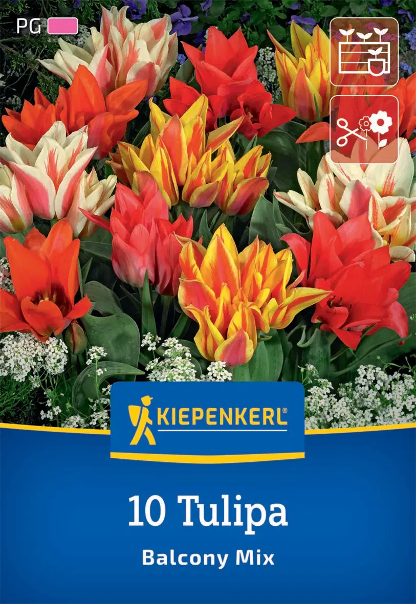 Kiepenkerl Balkon tulipánhagyma mix 10 db