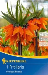 Kiepenkerl Fritillaria Imperialis Orange Beauty császárkorona virághagyma 1db