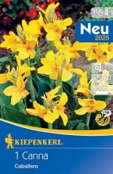 Kiepenkerl Canna Caballero 1db/cs