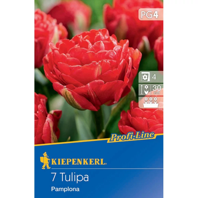 Kiepenkerl Profi-Line Pamplona tulipán virághagymák 7 db