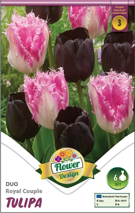 Tulipán virághagyma 6db-os Duo Royal Couple