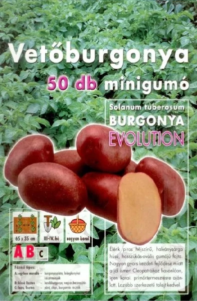 Vetőburgonya Evolution Minigumó 50db/cs