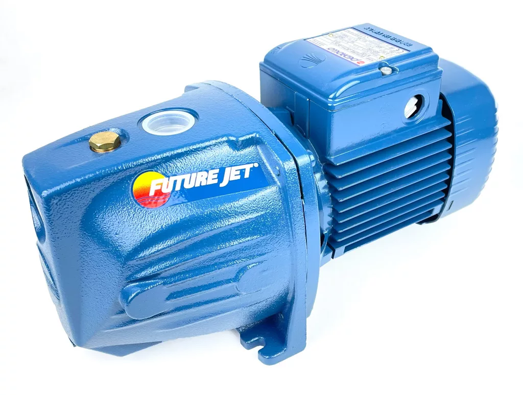 Pedrollo Future JETm1AX 550W