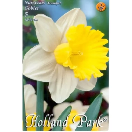 Nárcisz virághagyma 5db-os Goblet