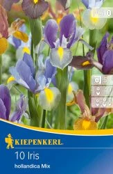 Kiepenkerl Iris hollandica Mix vegyes írisz virághagymák 10db