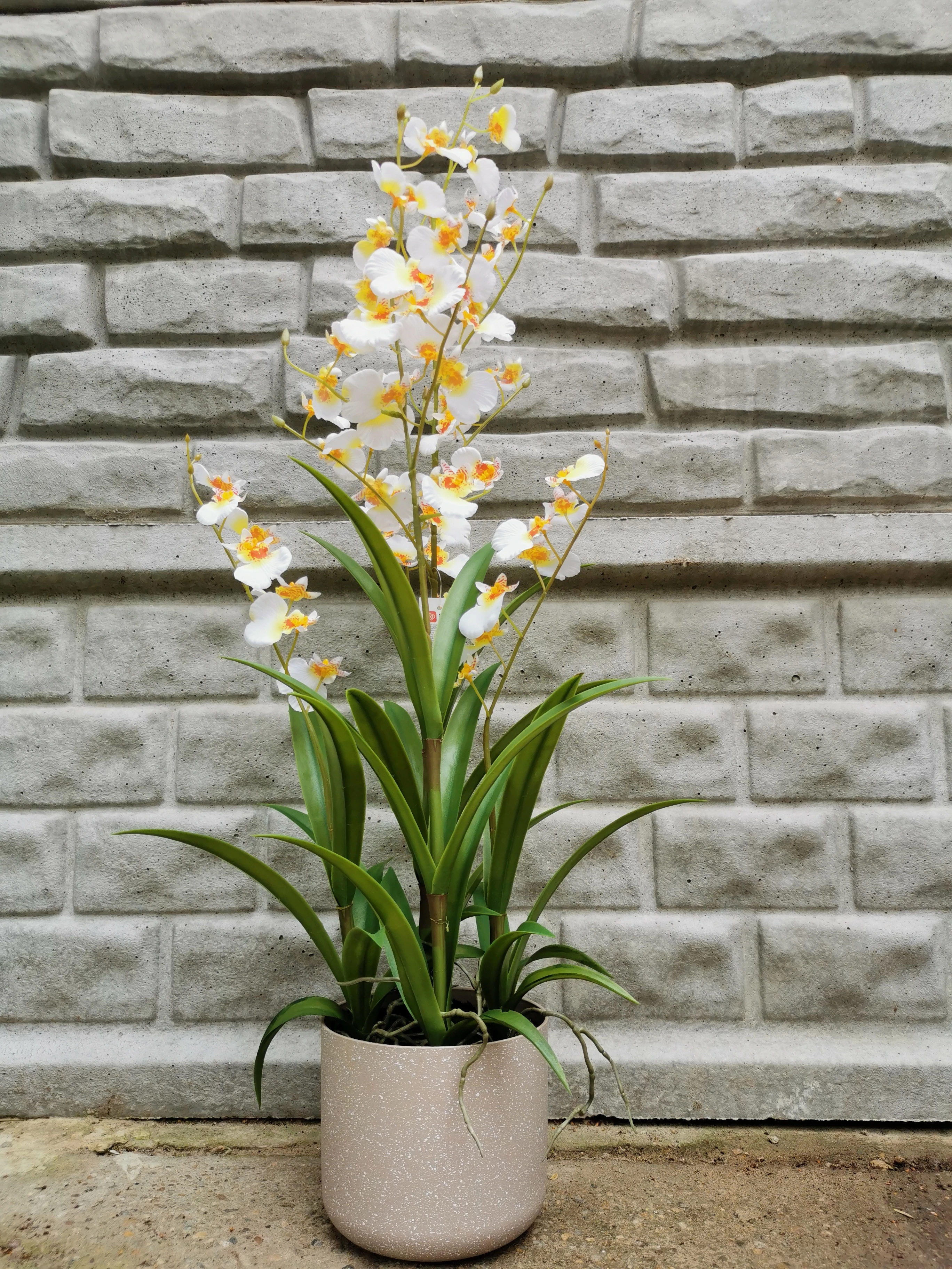 Selyemvirág orchidea,oncidium 4ágú 83cm