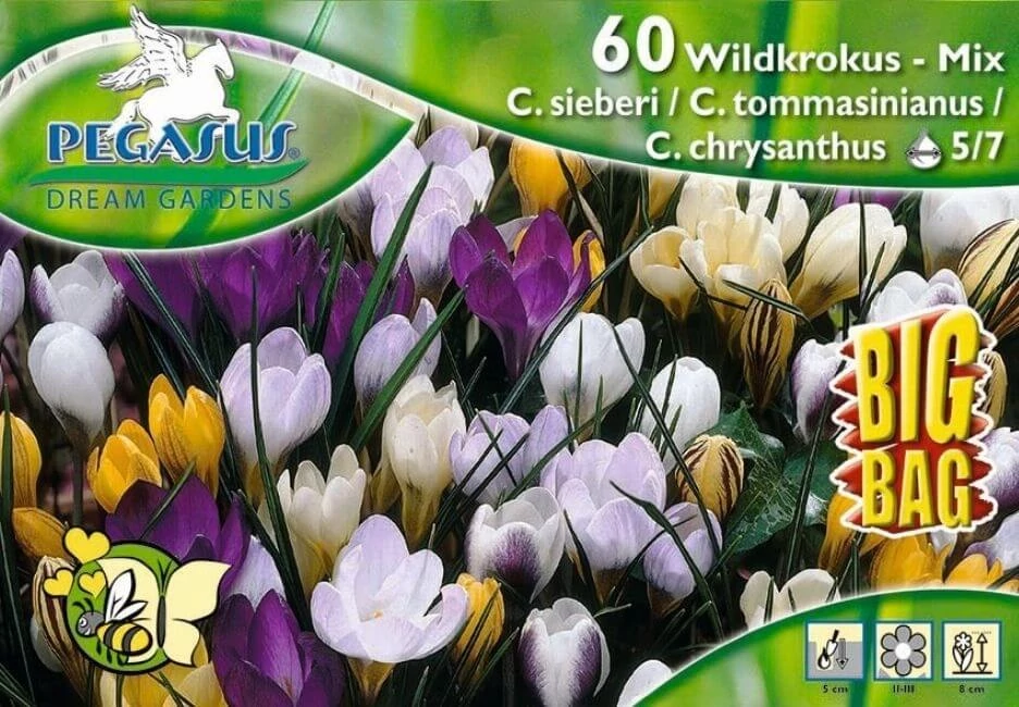 Pegasus Crocus Wildkrokus MIX vegyes botanikai krókuszhagymák BIG BAG 60db