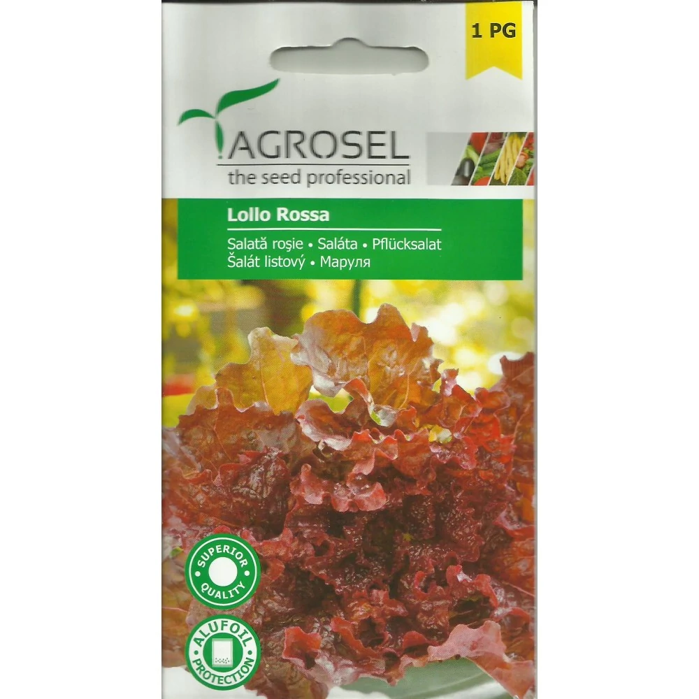 Agrosel Lollo Rossa Saláta 1g