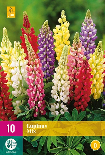 Jub Lupinus Csillagfürt mix 10 db