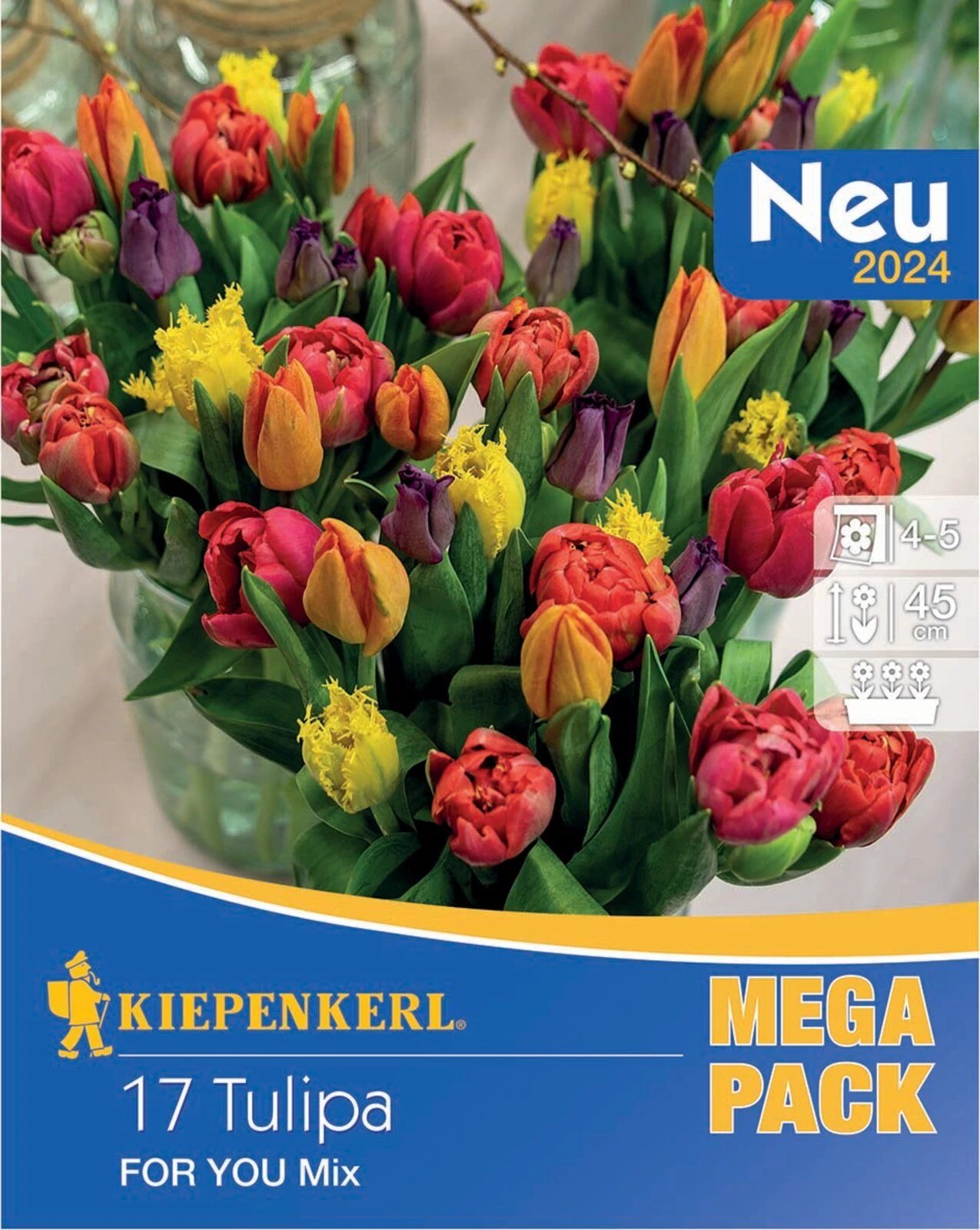 Kiepenkerl Mega-Pack Tulipán virághagyma For You Mix 17db