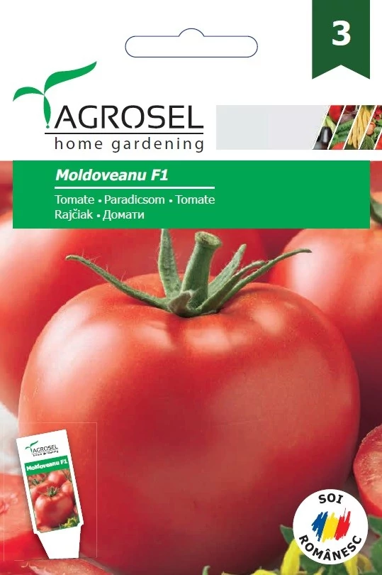 Agrosel Moldoveanu F1 paradicsom 10szem